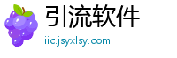引流软件